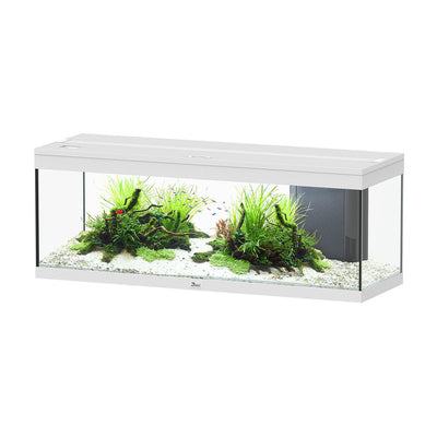 Aquatlantis Aquarium Prestige 120