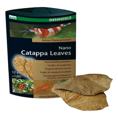 Nano Catappa Leaves, ca. 6,5x8,5cm 12 Stück für 120 Liter