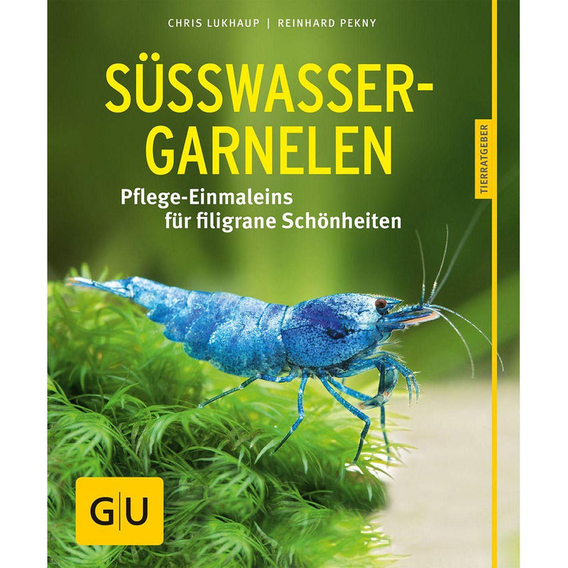 Süsswasser-Garnelen