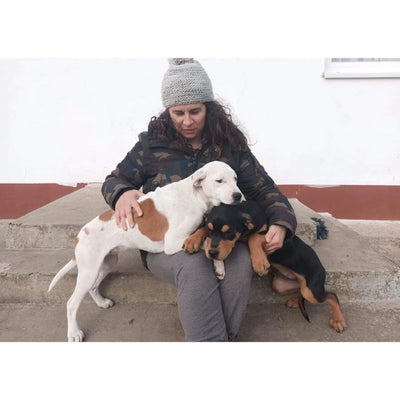 Helfen Sie mit einer Spende Strassenhunden in Not! Sanilu Sanilu