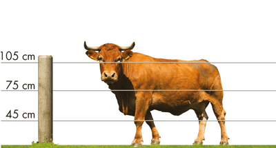 Electric fences: the optimal solution for fencing in all animal species