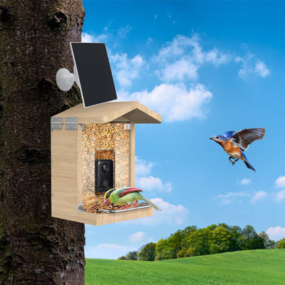 Nesting box with camera & feeding house with camera - complete set Sanilu Sanilu