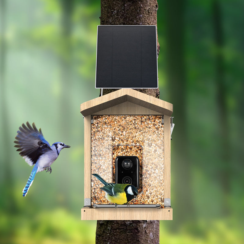 Nesting box with camera & feeding house with camera - complete set Sanilu Sanilu