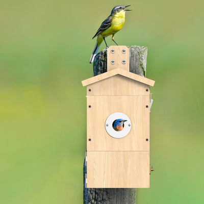 Bird nesting box with camera Sanilu Sanilu