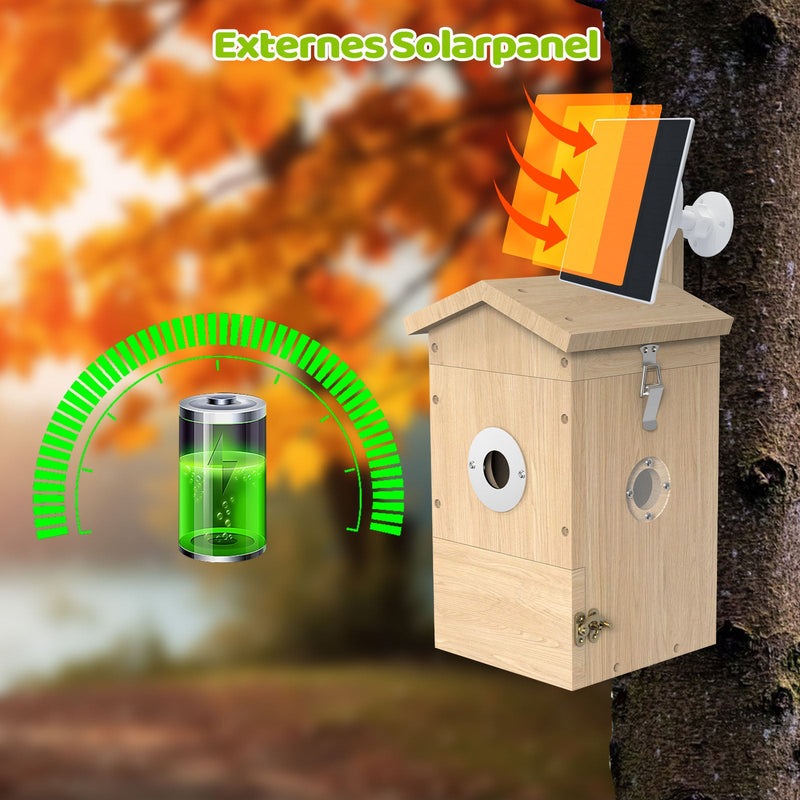 Nesting box with camera & feeding house with camera - complete set Sanilu Sanilu