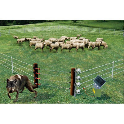 Easily movable, mobile fences for keeping sheep in paddocks Sanilu Sanilu