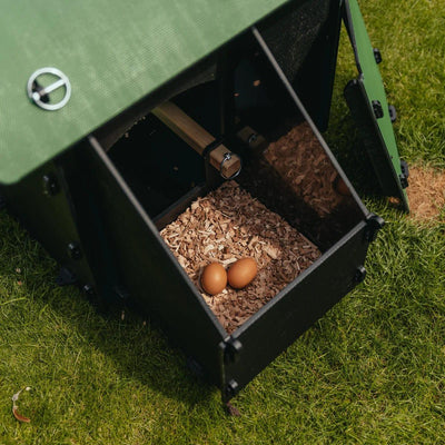 Nestera chicken coop Small Sanilu Sanilu