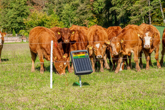 Pasture fence with strands and solar panel