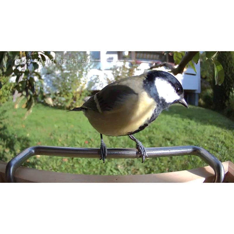 Bird feeder with camera Sanilu Sanilu