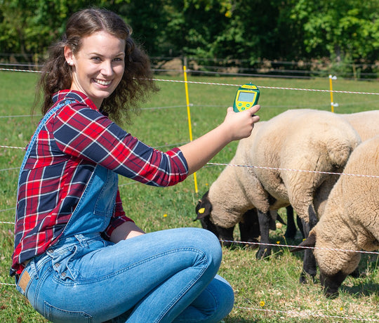 Pasture fence with strands and woman with testing device in hand