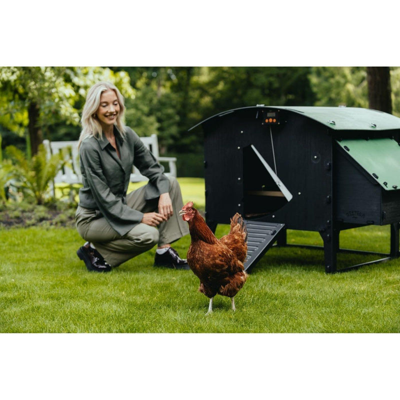 Nestera Chicken Coop Large Sanilu Sanilu