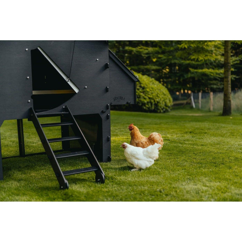 Nestera Chicken Coop Large Sanilu Sanilu