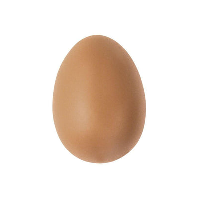 Plastic chicken egg brown Sanilu Sanilu