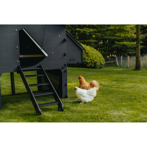 Nestera Chicken Coop Medium Sanilu Sanilu