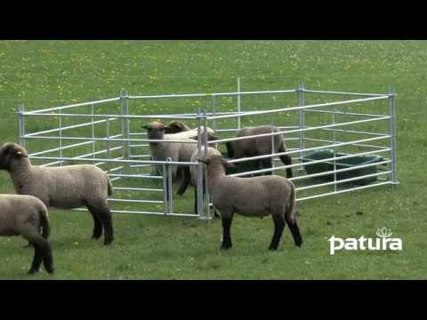 Plug-in fixed flock with lambing hatch