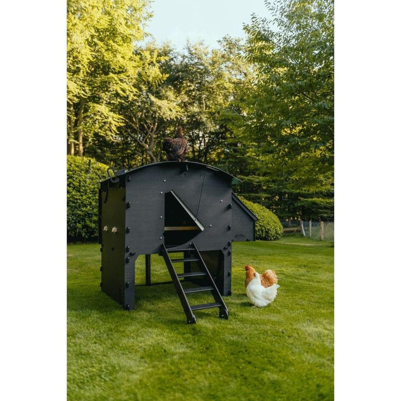 Nestera Chicken Coop Large Sanilu Sanilu