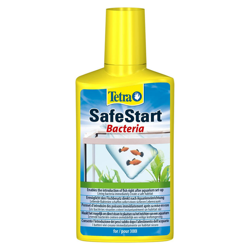 SafeStart