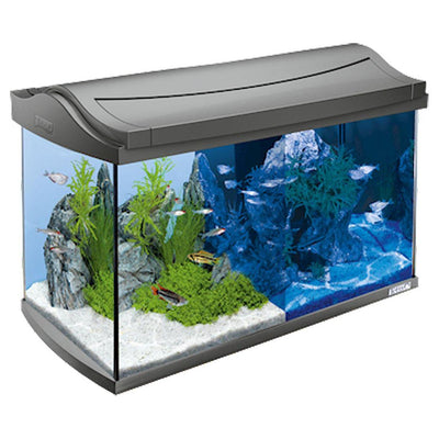 AquaArt aquarium set LED Discover Line 60l, anthracite