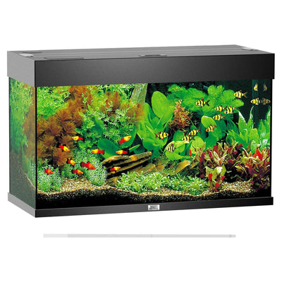 Aquarium Rio 125, black