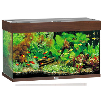 Aquarium Rio 125, dark brown