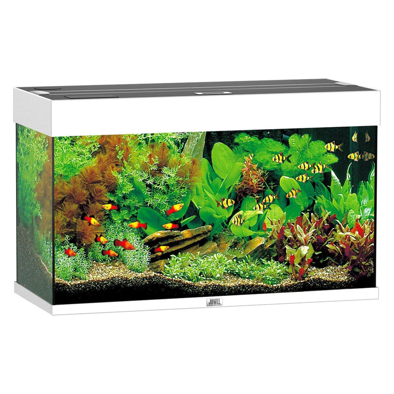 Aquarium Rio 125, white