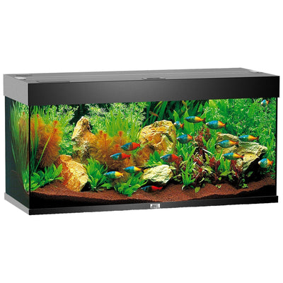 Rio 180 aquarium, black