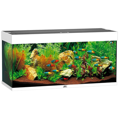 Aquarium Rio 180, white