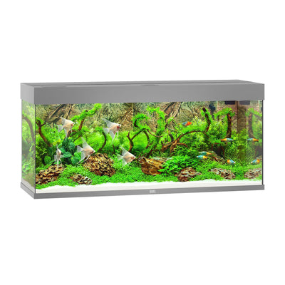 Rio 240 aquarium, 121x41x55cm, gray