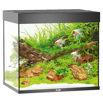 Aquarium Lido 200, black