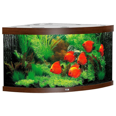 Trigon 350 corner aquarium, dark brown