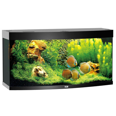 Aquarium Vision 260, black