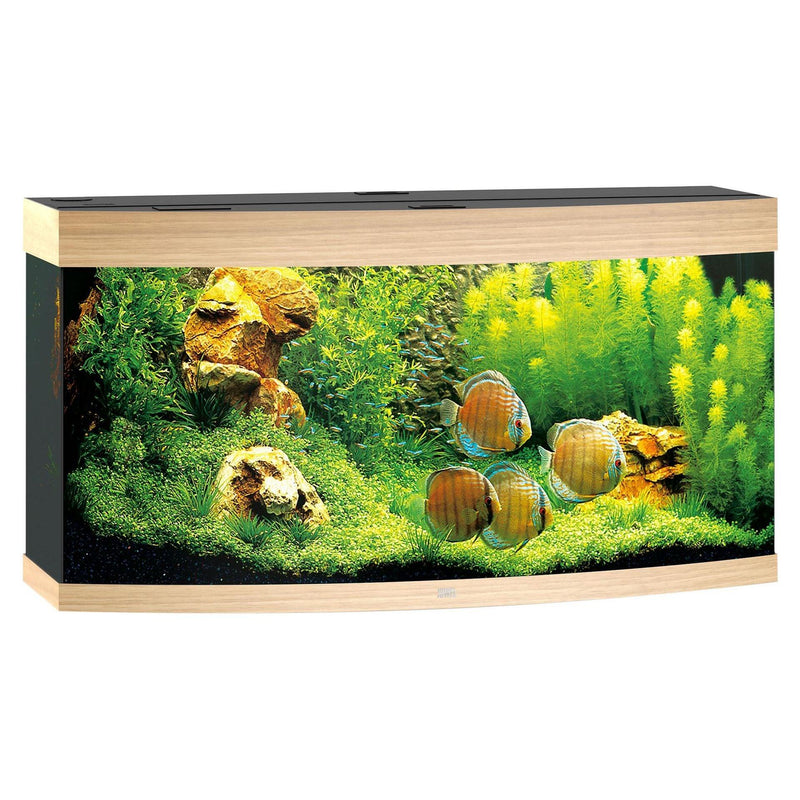 Aquarium Vision 260, oak