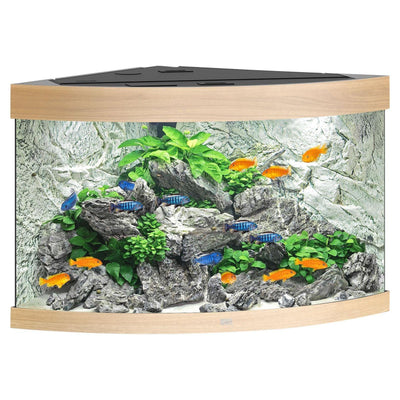 Trigon 190 corner aquarium, oak