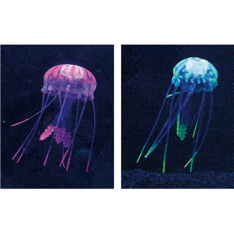 Jellyfish, yellow-violet