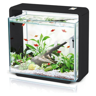 LED aquarium E40, black