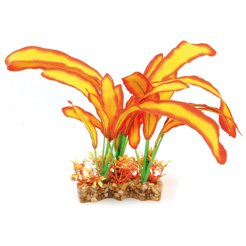 Fantasy Plant VSB orange