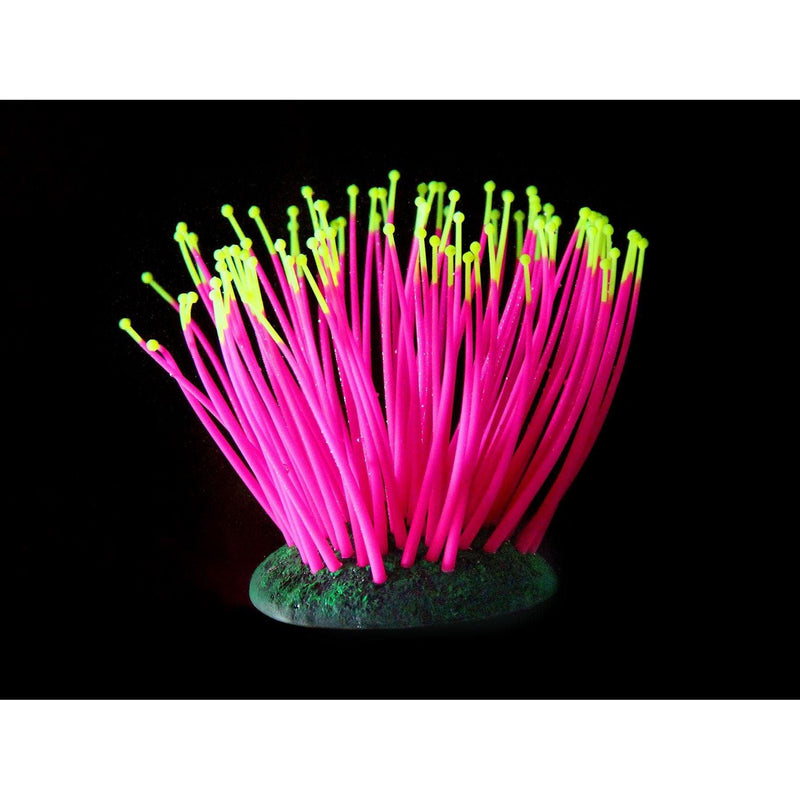 Kunststoffpflanzen FLUO Sea-Anemone, pink