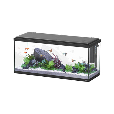 Aquatlantis Aquarium Explorer Amsterdam LED 80