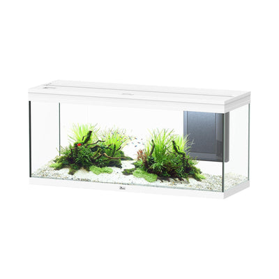 Volga 240 aquarium, white