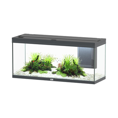 Aquarium Volga 240, gray