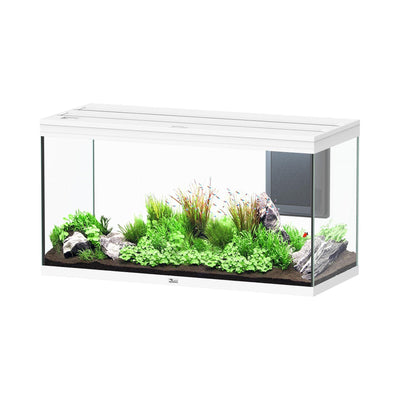 Volga 350 aquarium, white