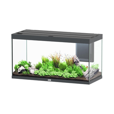 Aquarium Volga 350, gray