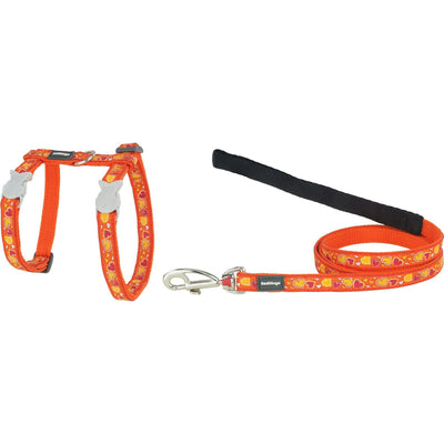 RedDingo harness and leash Breezy Love Orange - XS