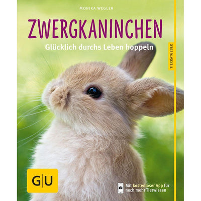 Zwergkaninchen