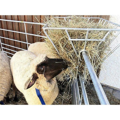 Hay rack_sheep_Sanilu1