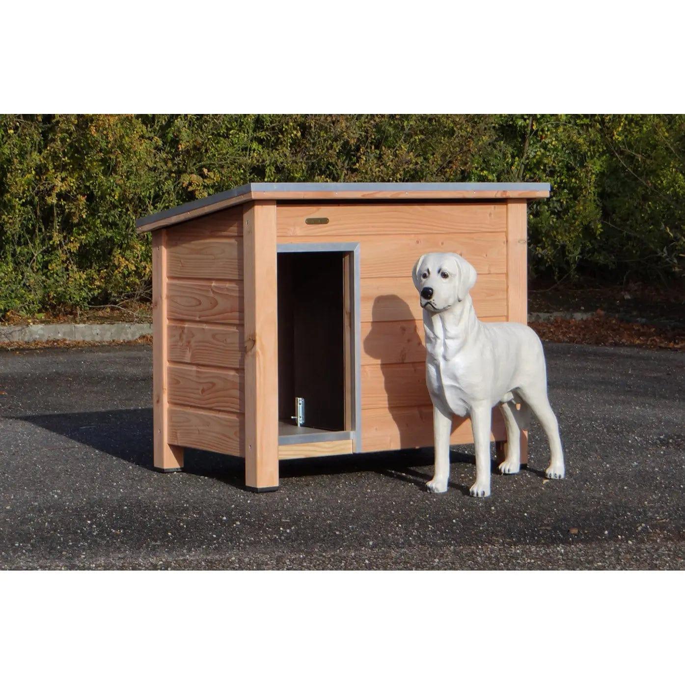 Dog kennel Rex