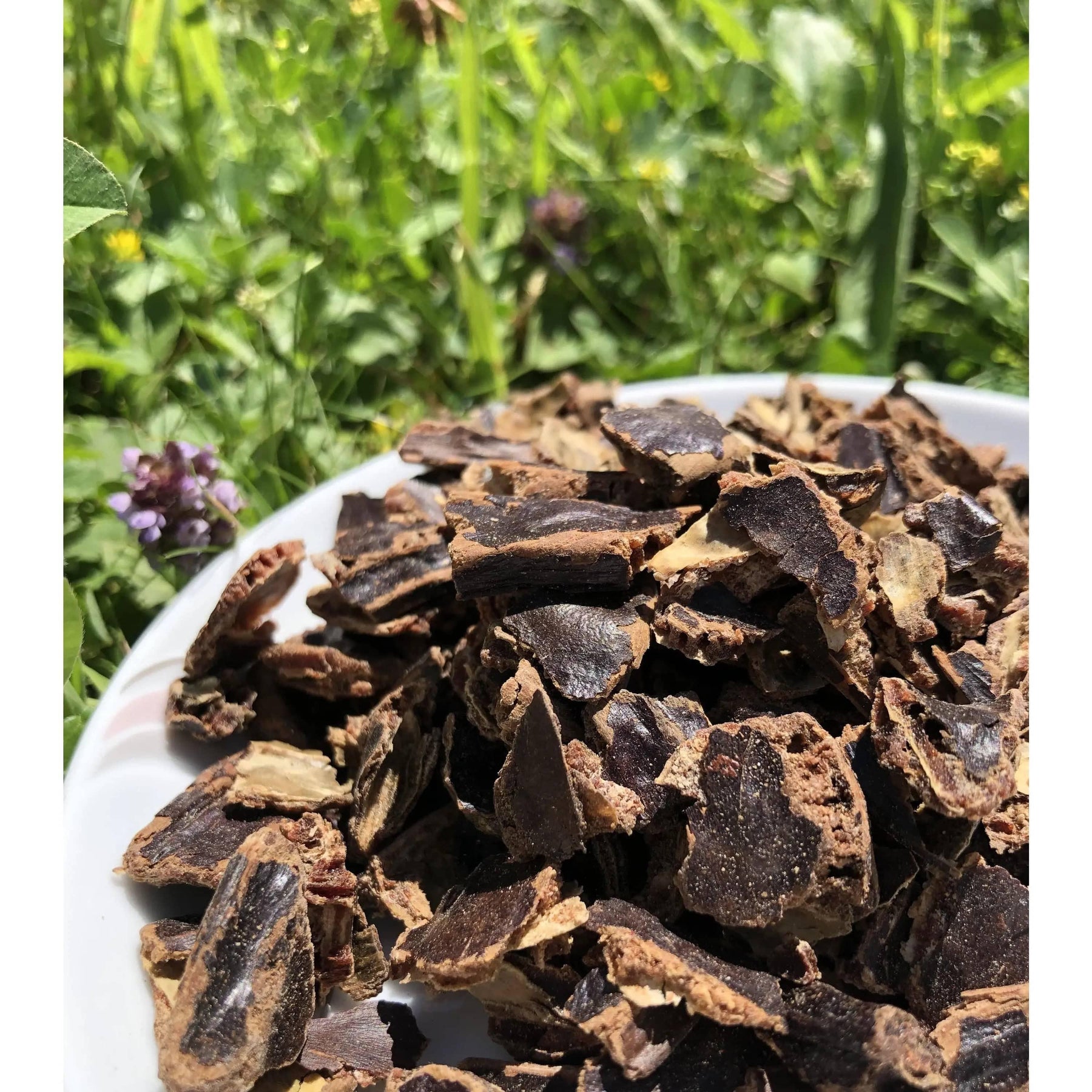 Carob for guinea pigs