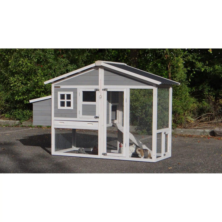 Nelson chicken coop