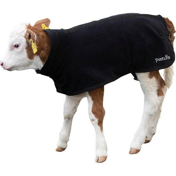 Calf with fleece calf blanket from Patura