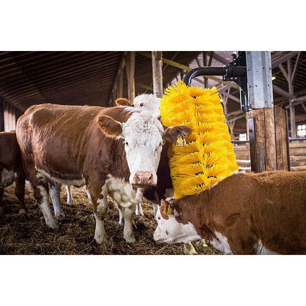 MAXI swing brush from Patura with cattle scratching themselves